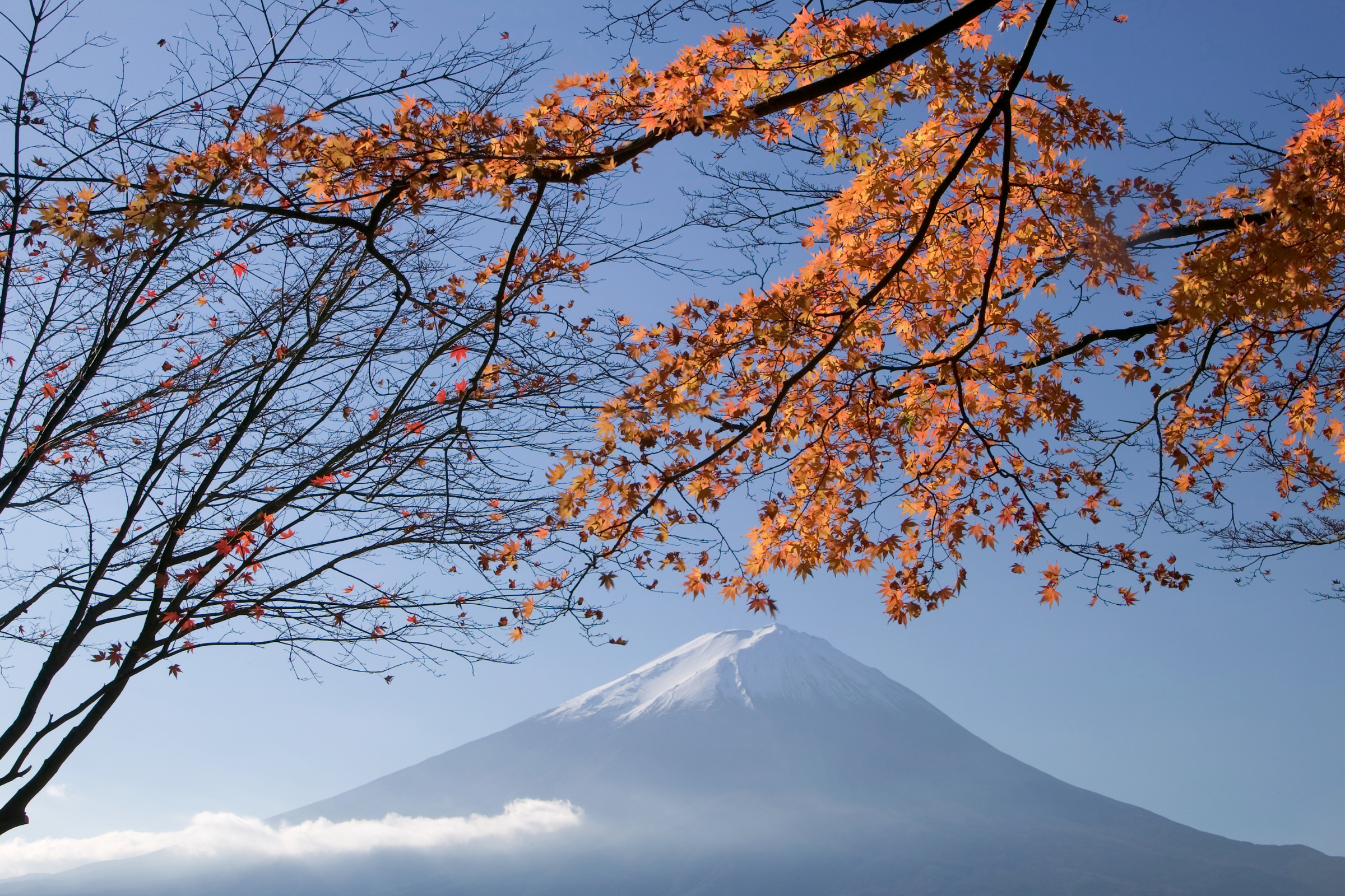 fuji hakone izu national park.webp